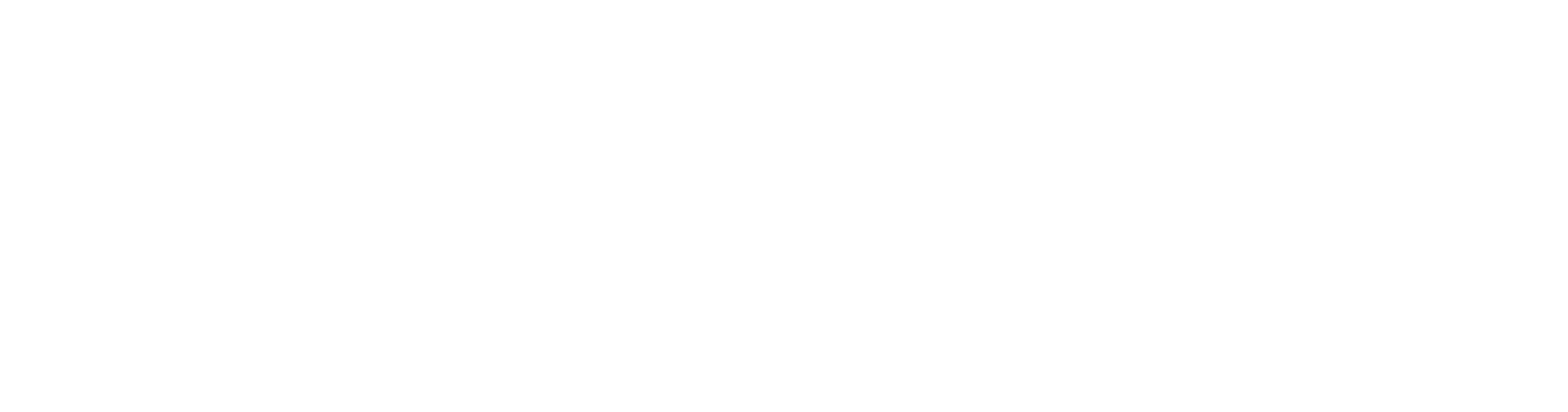 100HP